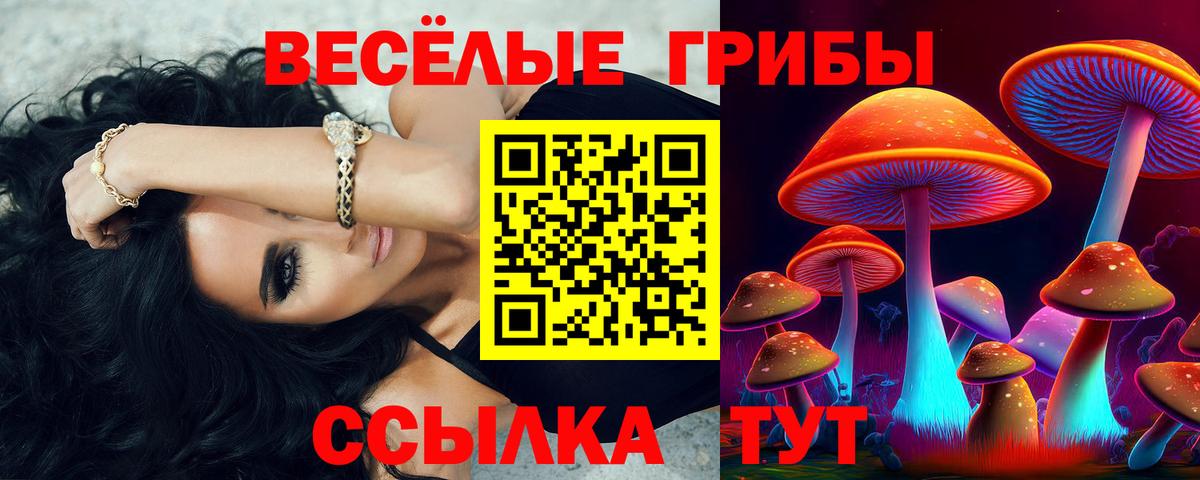 Галлюциногенные грибы ЛСД  Вход с VPN  Алексин 